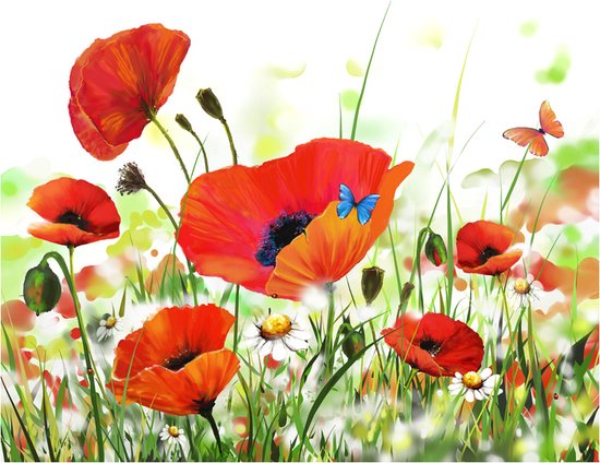 Fotobehang - Country poppies.