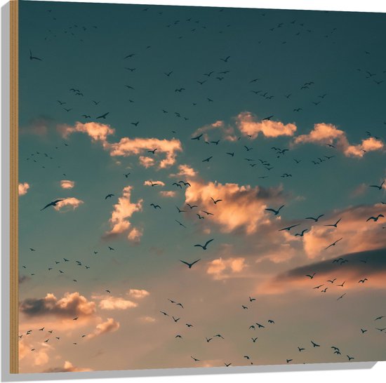 WallClassics - Hout - Zwerm Vogels bij Witte Wolken - 80x80 cm - 12 mm dik - Foto op Hout (Met Ophangsysteem)
