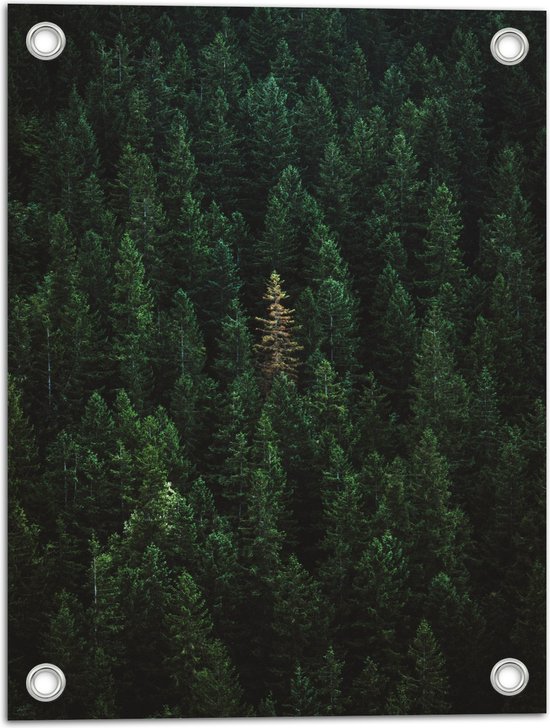 WallClassics - Poster de Jardin - Top of Green Montagnes - 30x40 cm Photo sur Poster de Jardin (décoration murale pour l'extérieur et l'intérieur)