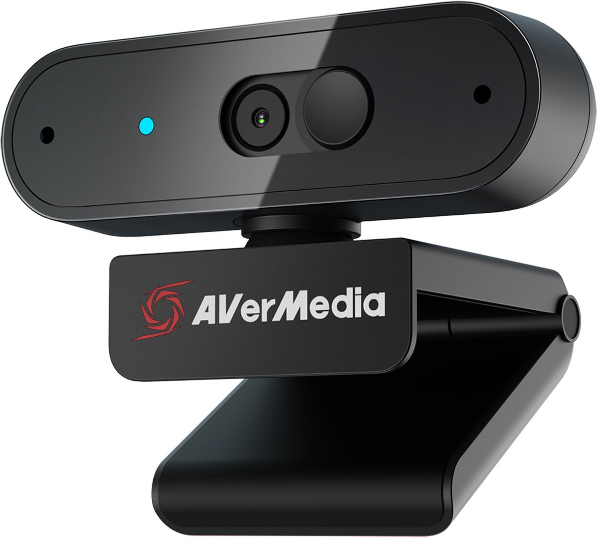 Webcam AVERMEDIA6130 PW310P