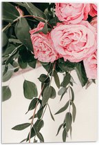 WallClassics - Acrylglas - Roze Rozen Bloemenboekt - 40x60 cm Foto op Acrylglas (Wanddecoratie op Acrylaat)