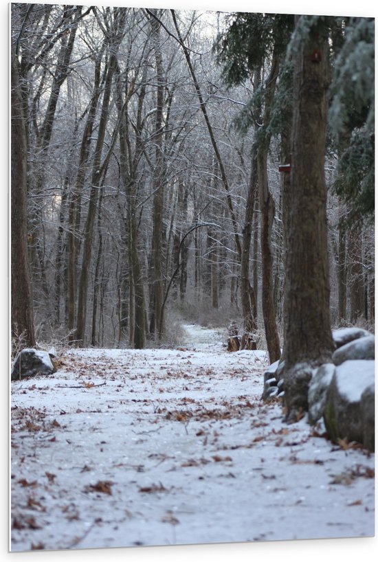 WallClassics - PVC Schuimplaat - Winterbos - 80x120 cm Foto op PVC Schuimplaat (Met Ophangsysteem)