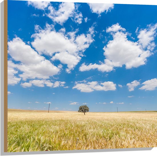 WallClassics - Hout - Witte Schapenwolken boven Graslandschap - 80x80 cm - 12 mm dik - Foto op Hout (Met Ophangsysteem)