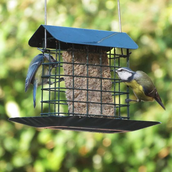 Een blauwe mees en een koolmees eten uit een donkergroene vetblokhouder.