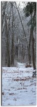 WallClassics - Dibond - Winterbos - 20x60 cm Foto op Aluminium (Wanddecoratie van metaal)