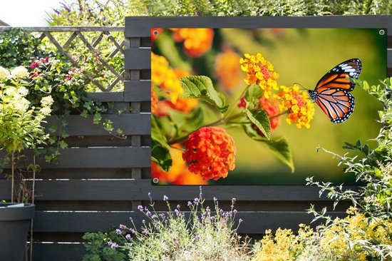 Affiche jardin - Toile jardin - Posters de jardin extérieur - Papillon - Insectes - Fleurs - Jaune - 120x80 cm - Jardin
