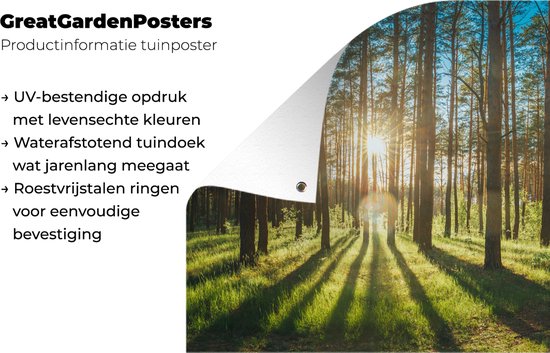 Tuinschilderij Zon - Bomen - Landschap - Gras - 80x60 cm - Tuinposter - Tuindoek - Buitenposter