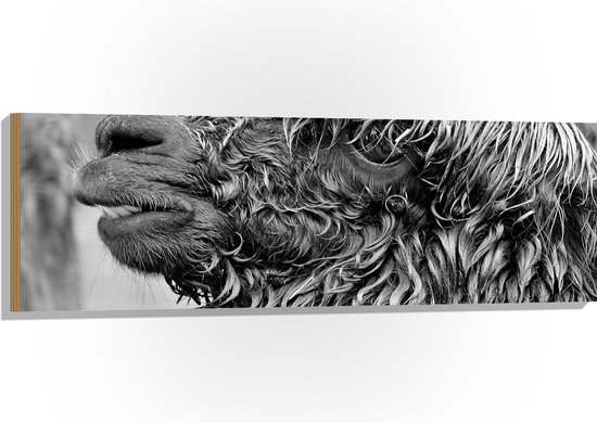WallClassics - Hout - Natte Alpaca Zwart - Wit - 120x40 cm - 12 mm dik - Foto op Hout (Met Ophangsysteem)