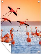 Tuin decoratie Vogel - Flamingo - Water - Zonsondergang - Roze - 30x40 cm - Tuindoek - Buitenposter