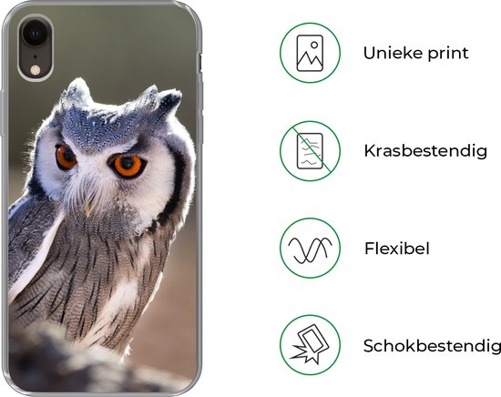 Coque iPhone XR - Hibou - Macro - Animal - Siliconen