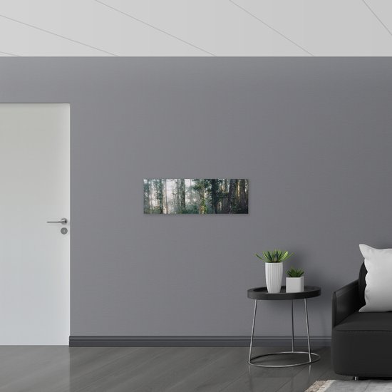 WallClassics - Panneau en mousse PVC - Brouillard entre les Arbres - Photo 90x30 cm sur panneau en mousse PVC