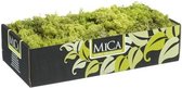 Decoratie/hobby mos lichtgroen 500 gram - Decoratie materialen bloemstukjes