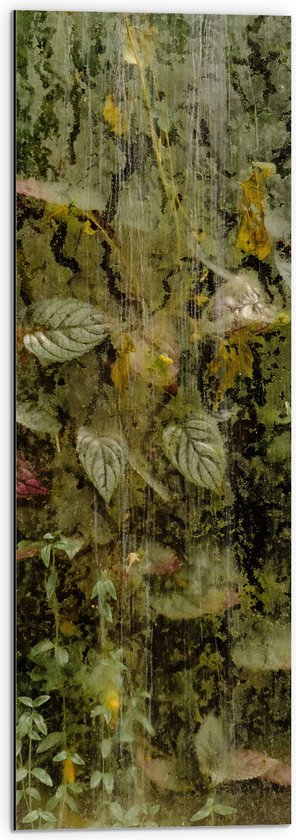 WallClassics - Dibond - Omhoogroeiende Bladeren en Mos - 30x90 cm Foto op Aluminium (Met Ophangsysteem)