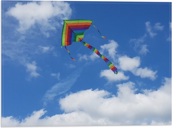 WallClassics - Vlag - Regenboog Vlieger in de Lucht - 40x30 cm Foto op Polyester Vlag