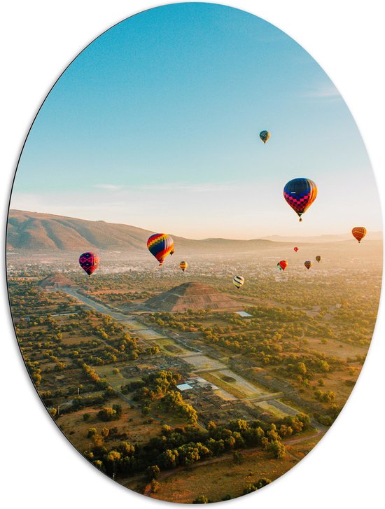 WallClassics - Dibond Ovaal - Luchtballonnen zwevend door de lucht - 81x108 cm Foto op Ovaal (Met Ophangsysteem)