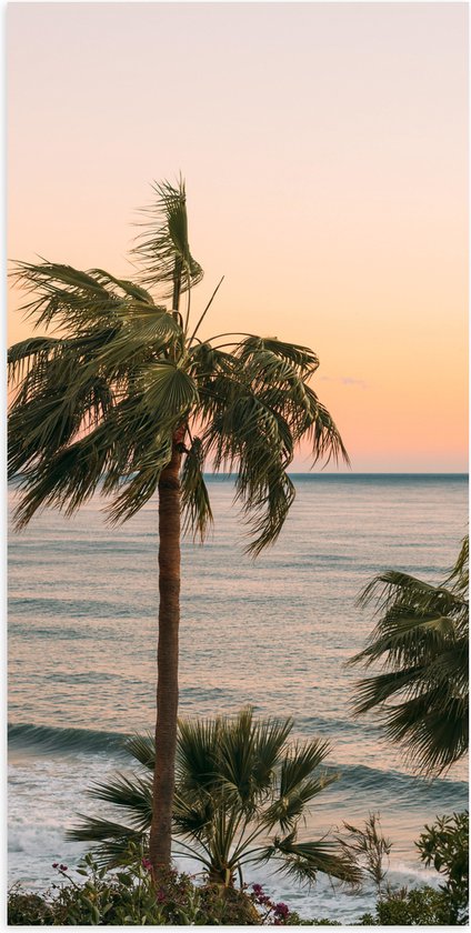 WallClassics - Poster (Mat) - Hoge Palmbomen bij Zee - 50x100 cm Foto op Posterpapier met een Matte look