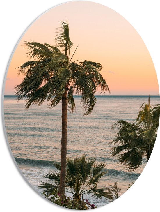 WallClassics - PVC Schuimplaat Ovaal - Hoge Palmbomen bij Zee - 30x40 cm Foto op Ovaal  (Met Ophangsysteem)