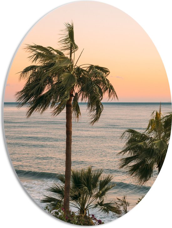 WallClassics - PVC Schuimplaat Ovaal - Hoge Palmbomen bij Zee - 42x56 cm Foto op Ovaal  (Met Ophangsysteem)