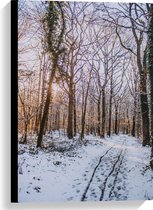 WallClassics - Toile - Arbres nus dans la forêt pendant l'hiver - 40x60 cm Photo sur toile (Décoration murale sur toile)