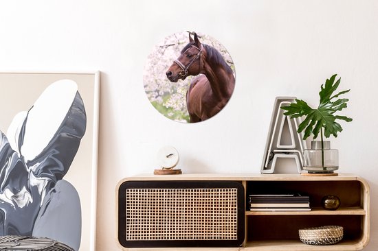 Wall Circle - Wall Circle - Cheval - Sakura - Licol - Aluminium - ⌀ 30 cm - Intérieur et Extérieur