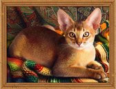 Diamond Painting Abyssinian Cat 40x30