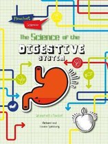 Flowchart Science The Human Body The Digestive System