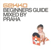 Gekko: Beginner's Guide