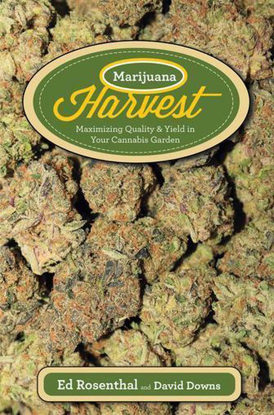 Marijuana Harvest - cover