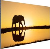 Wanddecoratie Metaal - Aluminium Schilderij Industrieel - Silhouet van een olifant bij zonsondergang - 30x20 cm - Dibond - Foto op aluminium - Industriële muurdecoratie - Voor de woonkamer/slaapkamer