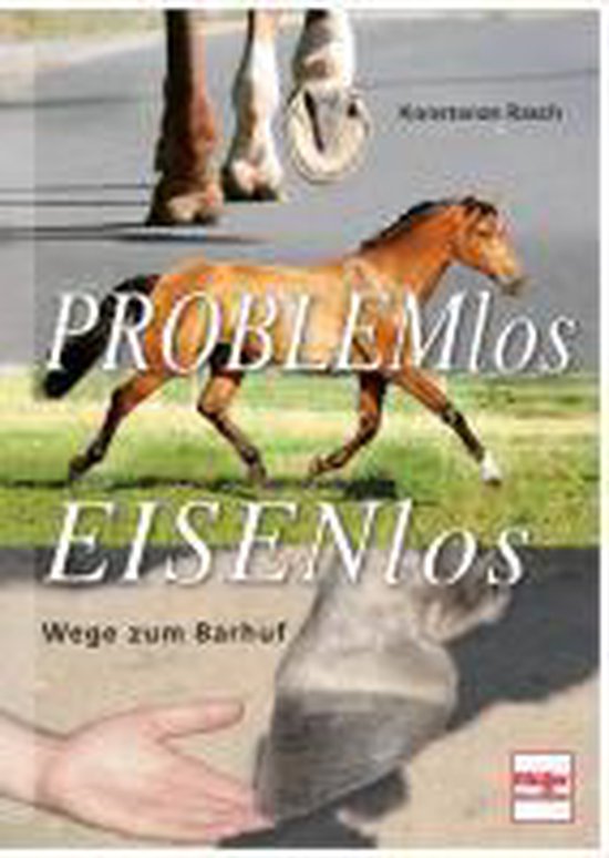 Problemlos Eisenlos - cover