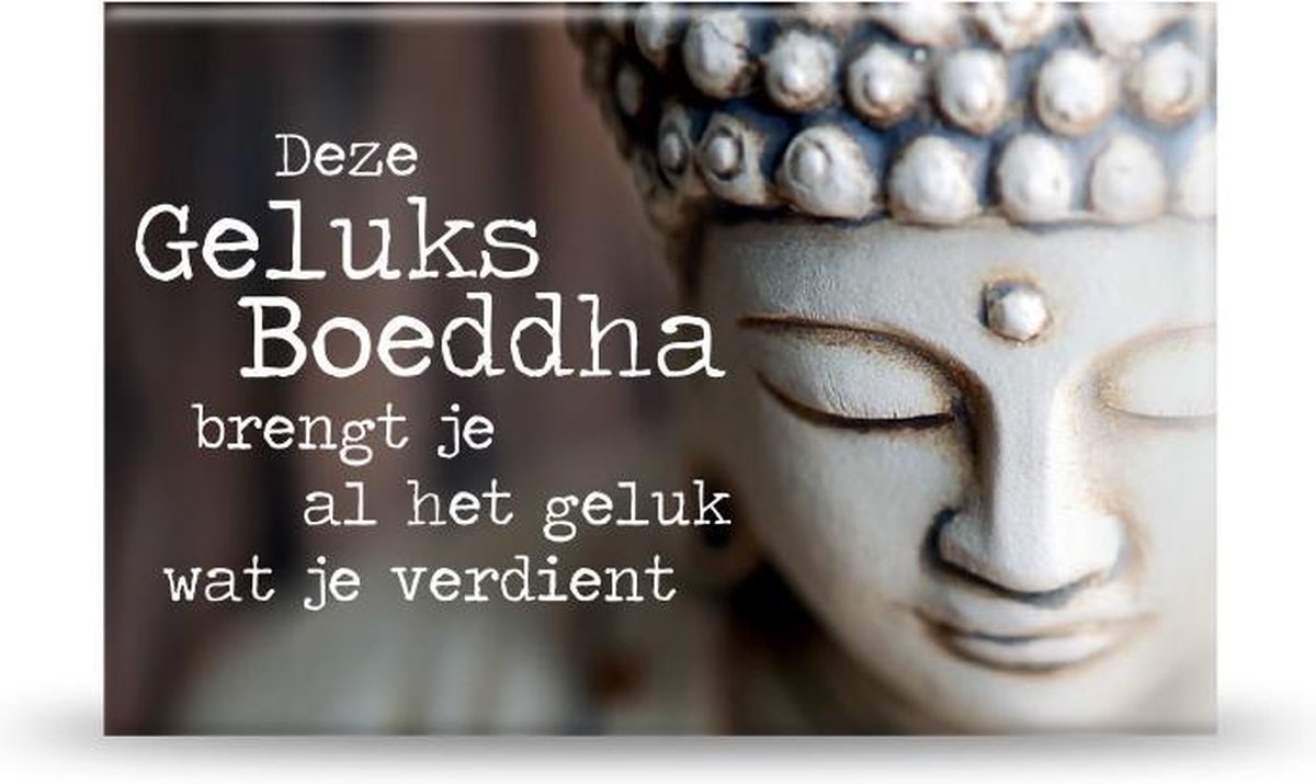 Koelkast Magneet - Geluks Boeddha - 8 cm | bol.com