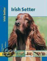 PraxisRatgeber Irish Setter