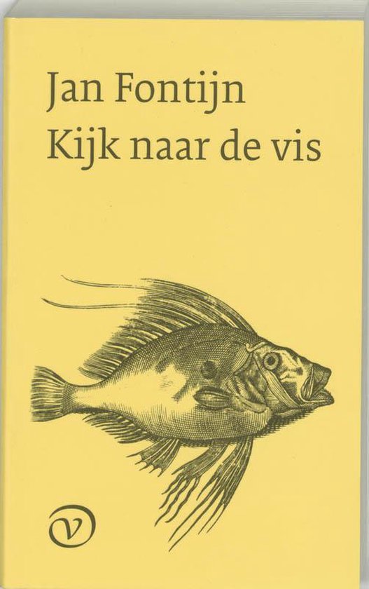 Cover van het boek 'Kijk naar de vis' van Jan Fontijn