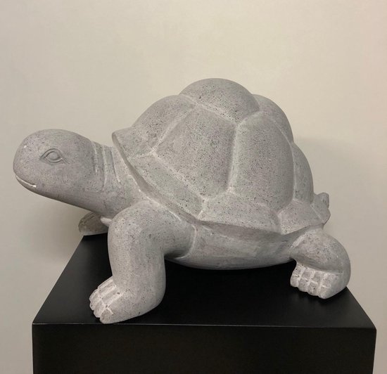 Schildpad decoratief kleur betonlook