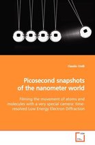 Picosecond snapshots of the nanometer world