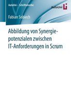 Abbildung von Synergiepotenzialen zwischen IT Anforderungen in Scrum