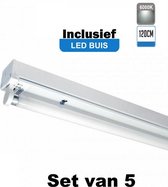 LED Buis armatuur 120cm - Enkel | Inclusief LED Buis - 6000K - Daglicht (Set van 5 stuks)