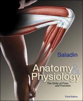 MP: Anatomy and Physiology