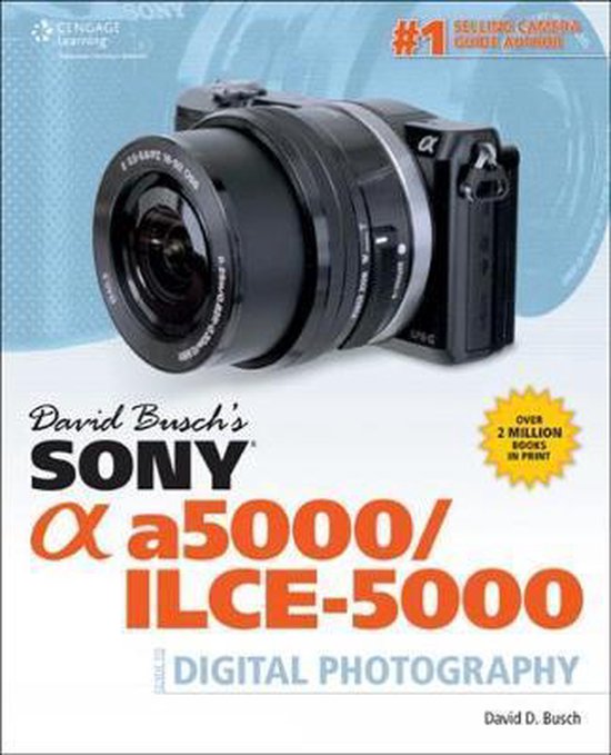 David Busch's Sony Alpha A6600/ilce-6600 Guide To Digital