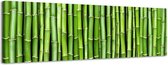 Bamboe Fantasy - Canvas Schilderij Panorama 158 x 46 cm