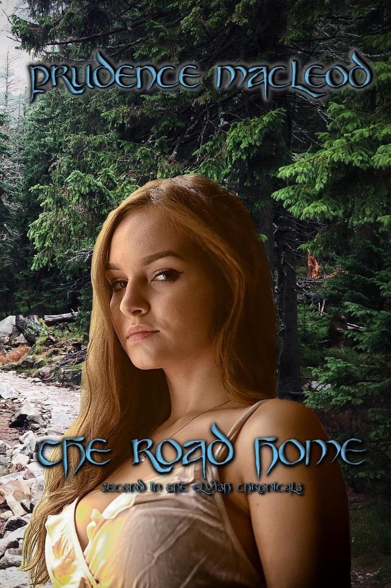 The Elvish Chronicles-The Road Home - Prudence Macleod