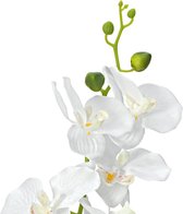 Europalms Orchidee kunstplant - wit - 65cm - kunst plant voor binnen - kunst orchidee