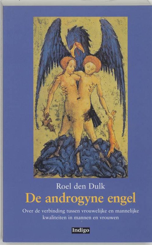 Cover van het boek 'De androgyne engel' van R. den Dulk