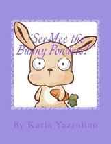 Seemee the Bunny Ponders!