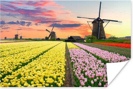 Poster Windmolen - Tulpen - Bloemen - Nederland - 90x60 cm