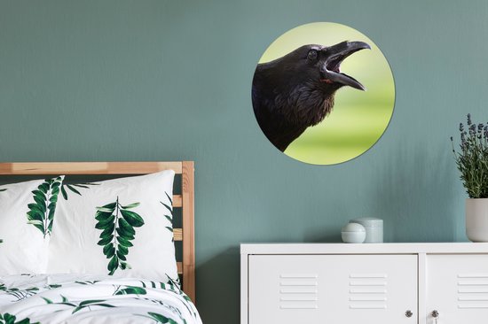 Représentation d'un corbeau qui chante Assiette en plastique cercle mural ⌀ 60 cm - impression photo sur cercle mural / cercle vivant (décoration murale)