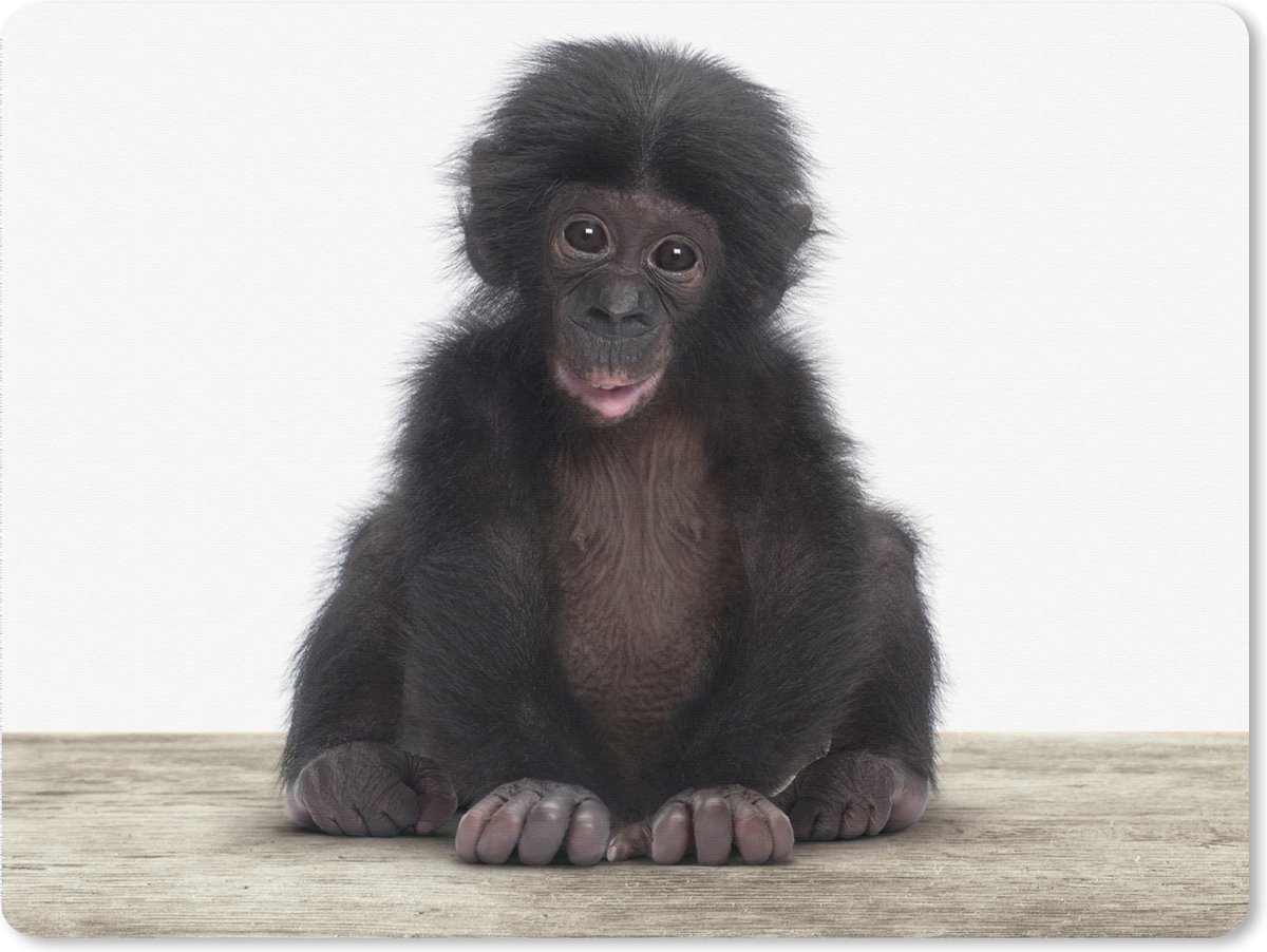 Muismat XXL 80x60 cm - Bureau onderlegger - Bureau mat Kind - Aap - Chimpansee - Baby dieren - Jongens - Meiden - Bureaumat - Gaming mousepad xl - Bureaulegger groot - Computer deskmat