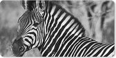 Muismat XXL - Bureau onderlegger - Bureau mat - Zebra portret - 90x45 cm - XXL muismat
