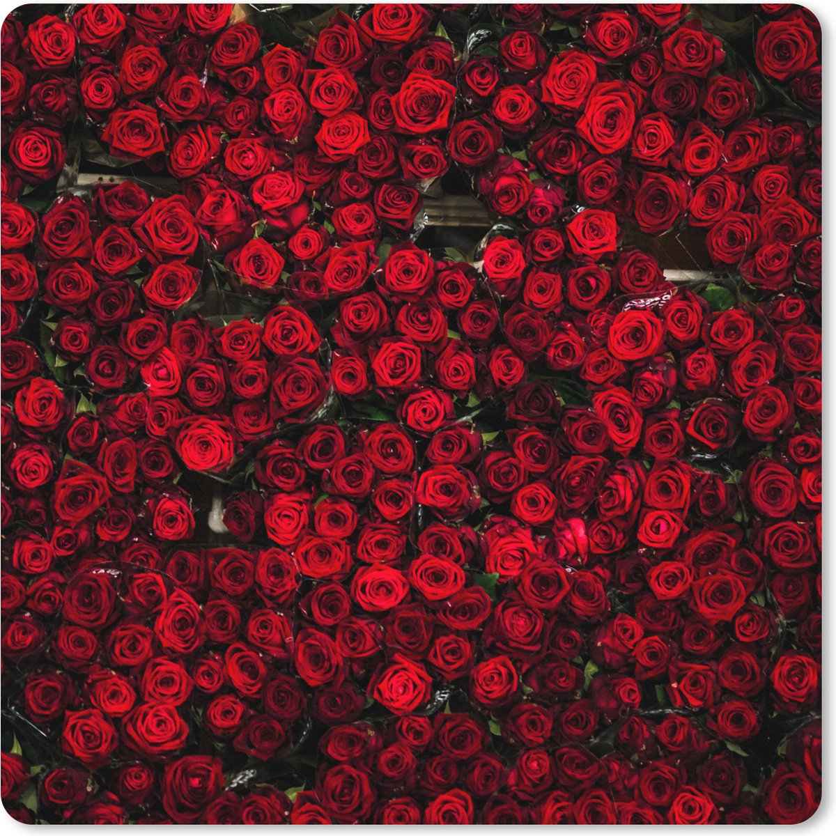 Muismat XXL 40x40 cm - Bureau onderlegger - Bureau mat Bloemen - Rozen - Rood - Bureaumat - Gaming mousepad xl - Bureaulegger groot - Computer deskmat