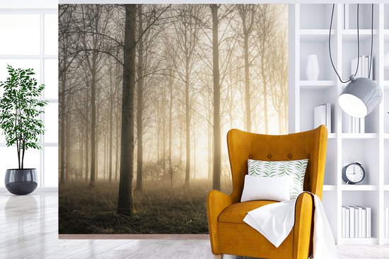 Papier Peint - Papiers Papier peint photo Forêt - Soleil - Brouillard - Largeur 300 cm x Hauteur 300 cm